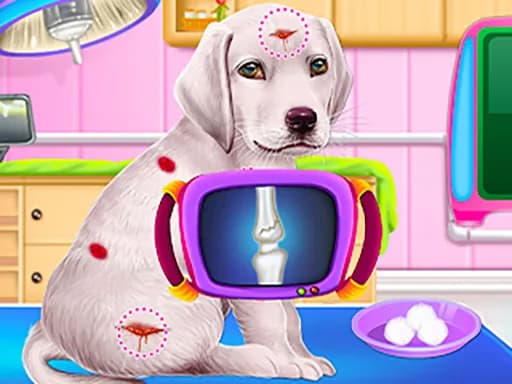 Labrador Yavru Köpek Kreşi