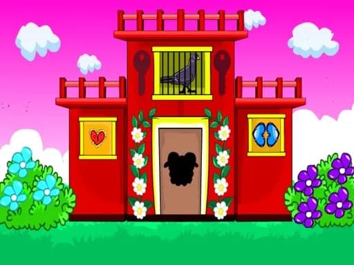 Siyah Güvercin Kaçışı