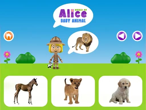 Alice'in Dünyası - Bebek Hayvan
