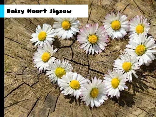 Daisy Kalp Yapboz