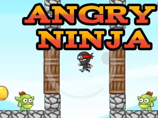 Öfkeli Ninja