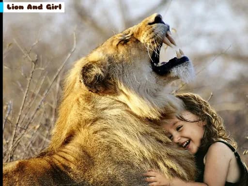 Aslan ve Kız Bulmacası