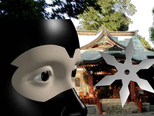 Ninja Akademisi