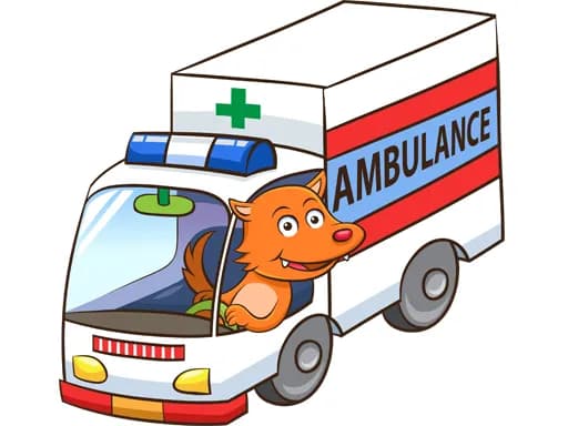Çizgi Film Ambulans Bulmacası