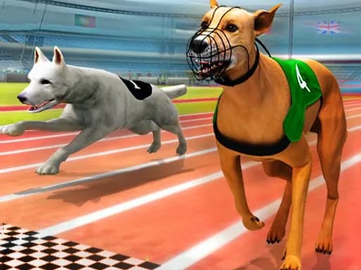 Dogs3D Yarışları